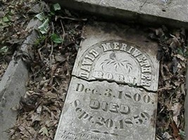 David Meriwether David Meriwether