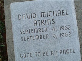 David Michael Atkins David Michael Atkins
