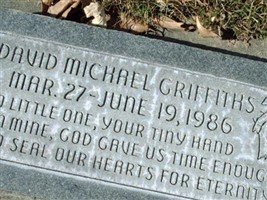 David Michael Griffiths David Michael Griffiths