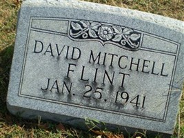 David Mitchell Flint David Mitchell Flint