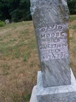 David Moose