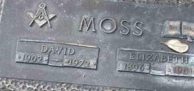 David Moss David Moss