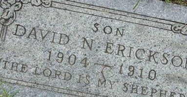 David N Erickson