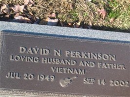 David N Perkinson David N Perkinson