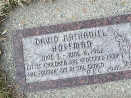 David Nathaniel Hoffman David Nathaniel Hoffman
