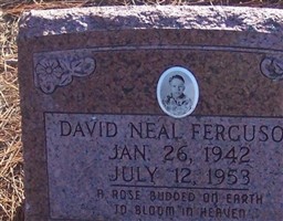 David Neal Ferguson David Neal Ferguson