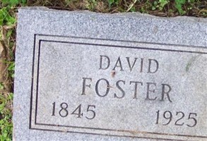 David Nelson Foster David Nelson Foster
