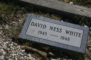 David Ness White