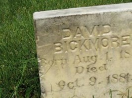 David Newman Bickmore