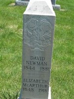 David Newman Bickmore