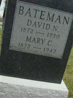 David Newton Bateman David Newton Bateman