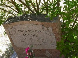 David Newton Moore David Newton Moore