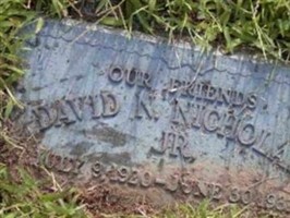 David Nicholas Nicholas, Jr David Nicholas Nicholas, Jr