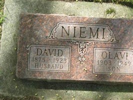 David Niemi David Niemi