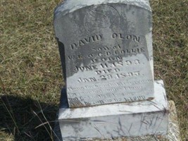 David Olon Collie David Olon Collie