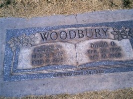 David Orin Woodbury