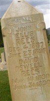 David Oswell Rees David Oswell Rees