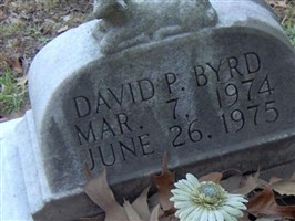David P. Byrd David P. Byrd