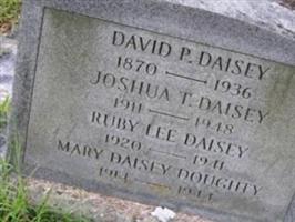 David P Daisey