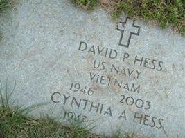 David P Hess