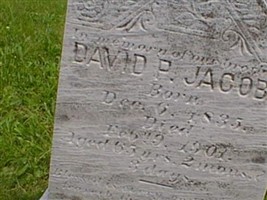 David P Jacobs David P Jacobs