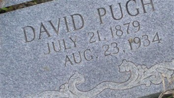 David P Pugh David P Pugh