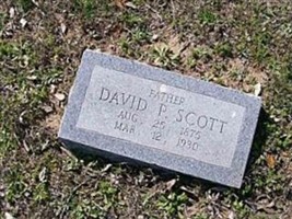 David P Scott