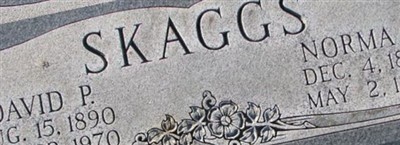 David P Skaggs David P Skaggs
