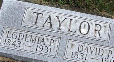 David P. Taylor