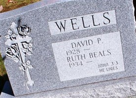 David P Wells