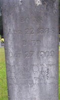 David P Wells
