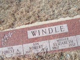 David P. Windle (1848651.jpg)