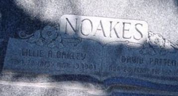 David Patten Noakes