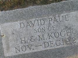 David Paul Koch