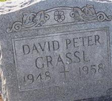 David Peter Grassl