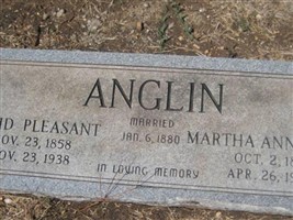 David Pleasant Anglin David Pleasant Anglin