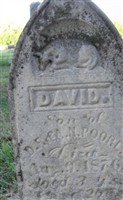 David Poore