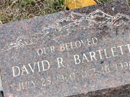 David R Bartlett David R Bartlett