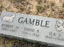 David R Gamble