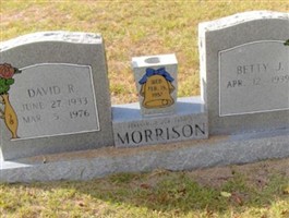 David R. Morrison (2080098.jpg)