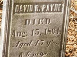 David R Payne