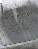 David R. Rees David R. Rees