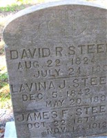 David R. Steele David R. Steele