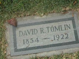 David R Tomlin