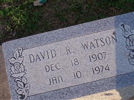 David Ray Watson David Ray Watson