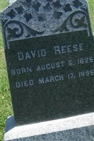 David Reese