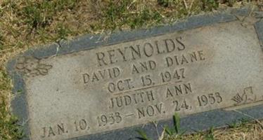 David Reynolds