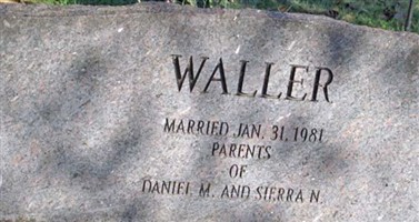 DAVID RICHARD WALLER