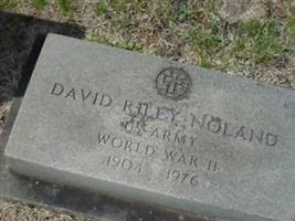 David Riley Noland