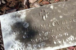 David R M Lovelace David R M Lovelace